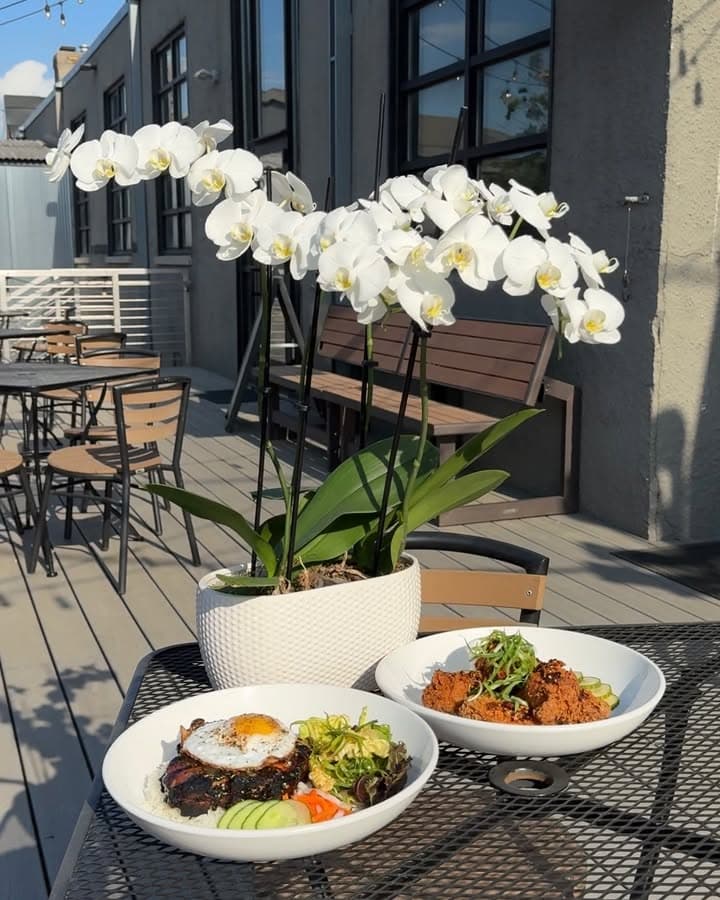 Two bowls of food on a metal patio table beside a white potted orchid with white flowers, on the outdoor patio with wooden chairs, tables, and benches in the background on a sunny day.